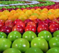 Succhi di frutta biologici